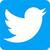 Social Network e digital marketing - Twitter